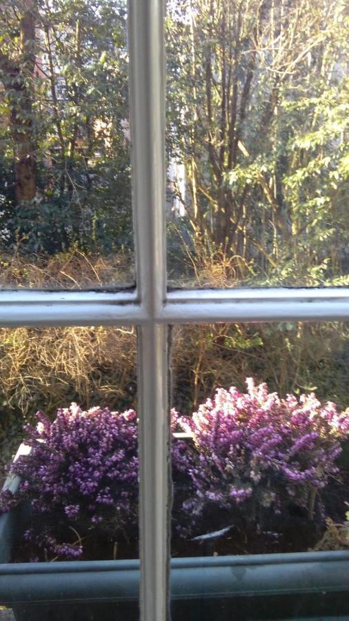 1 Bedroom On Charming St Stephen Street *