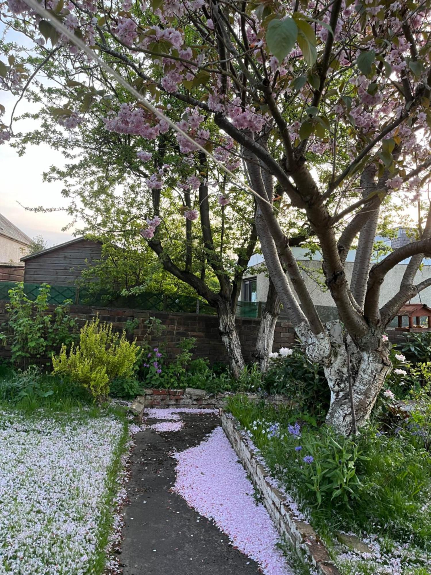 Relaxing, Cozy 1 Double Privatunterkunft Edinburgh
