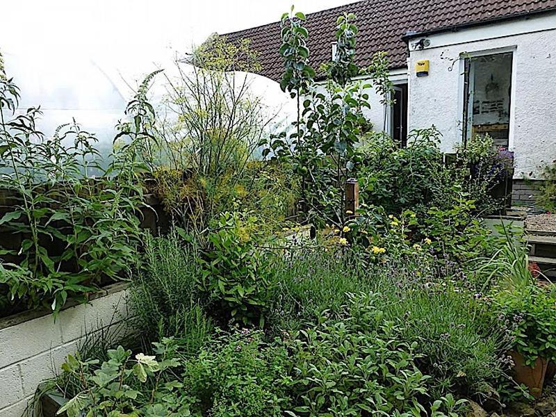 3 Bed Charming Cottage For Share ,, Private Room , Fibre Optik Broadband , Free Parking Bed & Breakfast Edinburgh