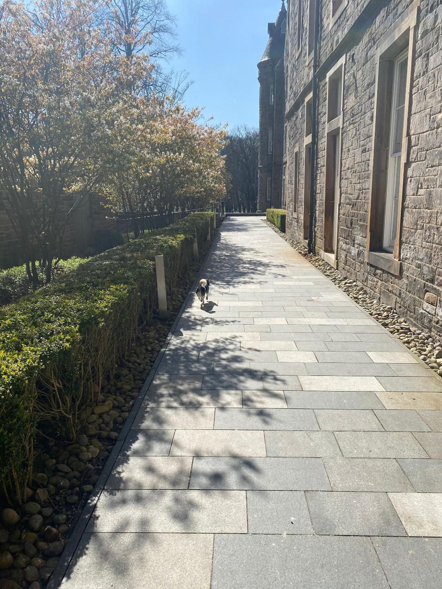 Apartment Extremely Quartermile Near Castle And *