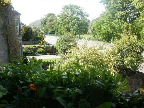 Guest house Aynetree