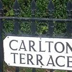 Carlton Twelve