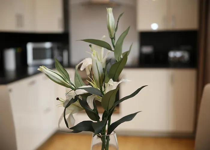 Edinburgh Pearl Apartments - Dalry House Residence