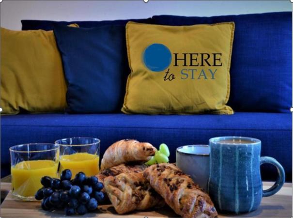 Peaceful, Lovely And Modern, Entire House Holiday home Edinburgh