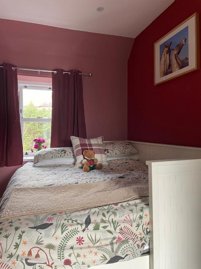 Karibu Cottage Near The Airport Homestay