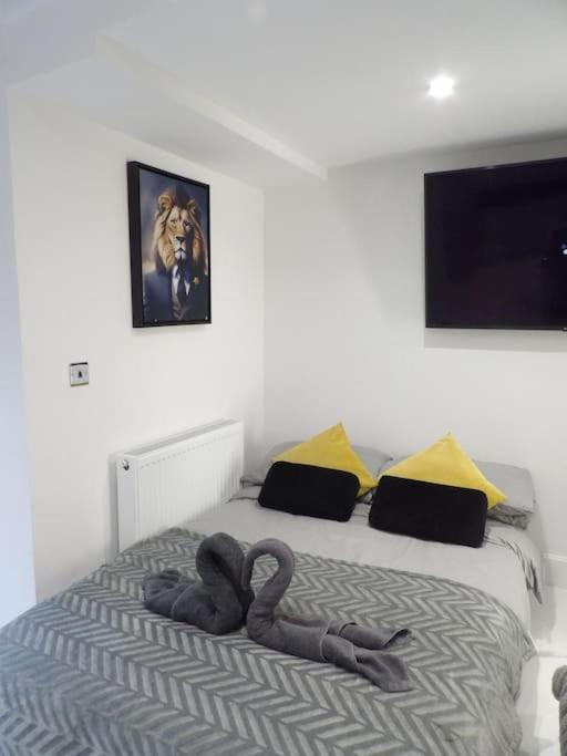 Apartment Modern 3bhk Near Zoo *