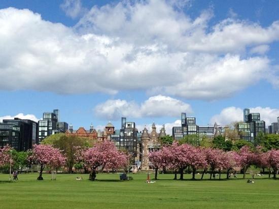 Cozy At Prime Location With Free Private Parking * Edinburgh