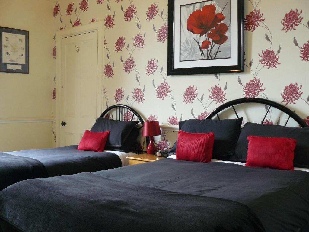 Rockville Edinburgh